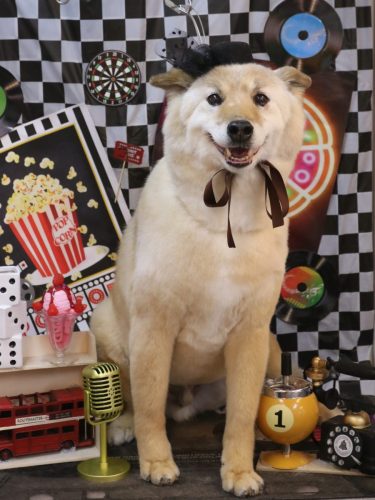 20260403れんくん