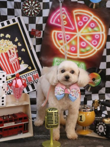 20260403リコちゃん