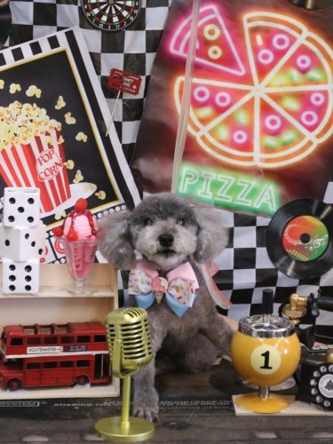 20260403タルトくん