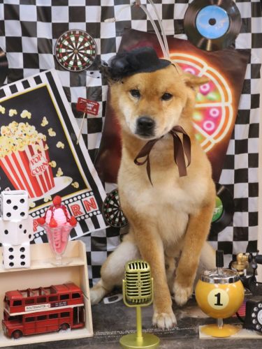 20260403シヴァくん