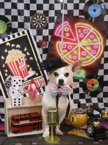 20260403うにちゃん