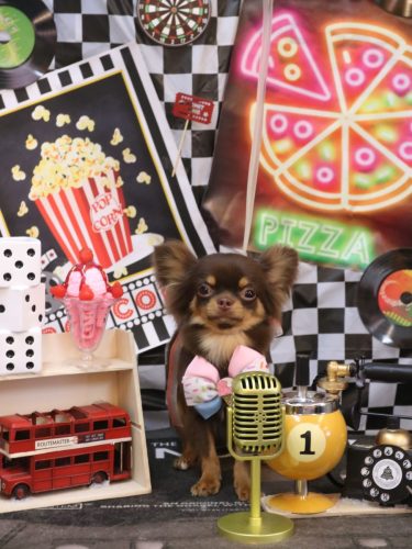 20260404りくくん