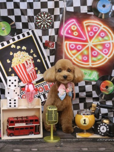 20260404モカちゃん