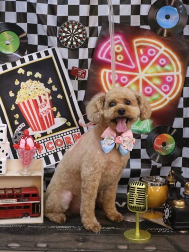 20260404ぱるくん