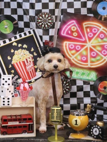 20260404ぽぽくん