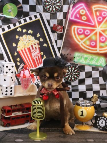 20260404ルナちゃん