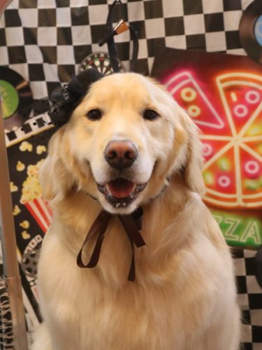 20260404ナナちゃん