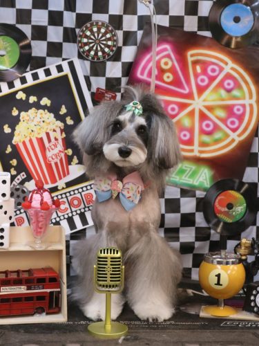 20260404ルナちゃん