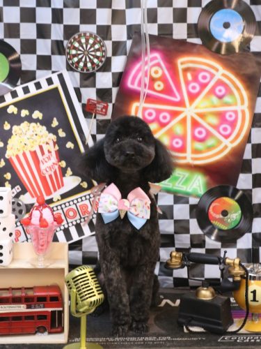 20260404うたちゃん