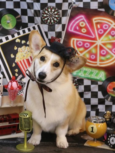 20260404ベルくん