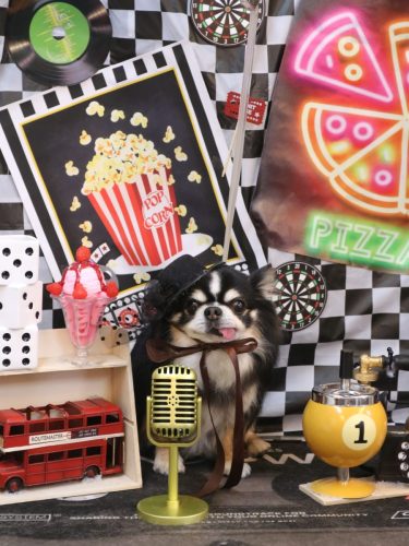 20260404ごまくん