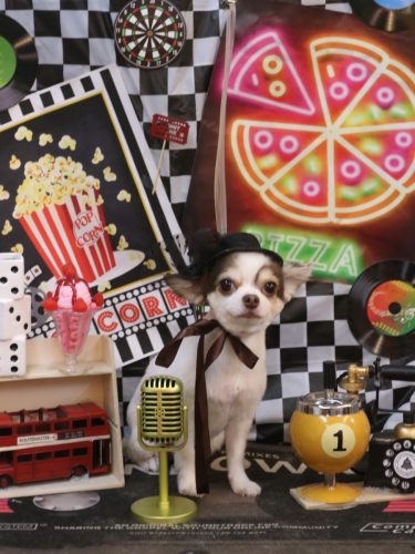 20260404トキくん