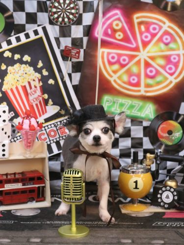 20260404レイくん