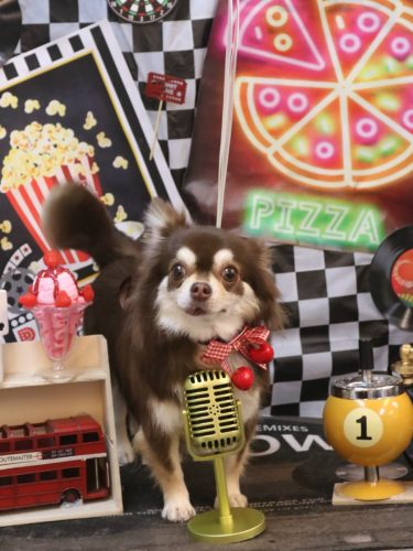 20260404ルアちゃん