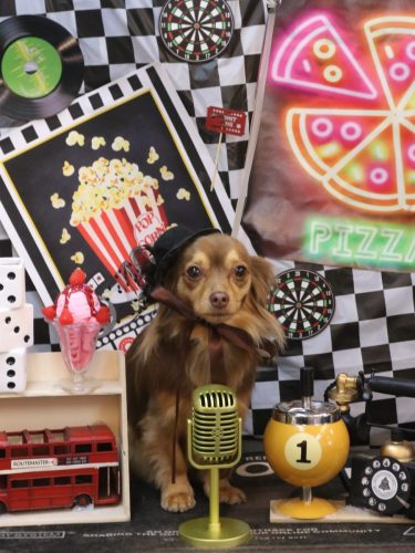 20260404いるちゃん