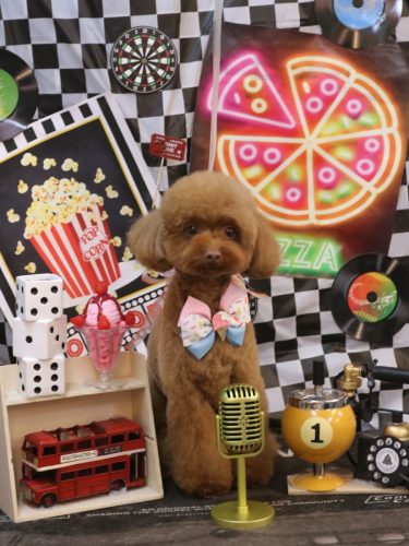 20260404くるるくん