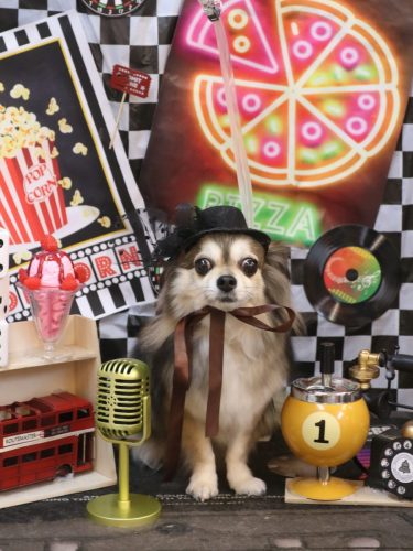 20260404あもちゃん