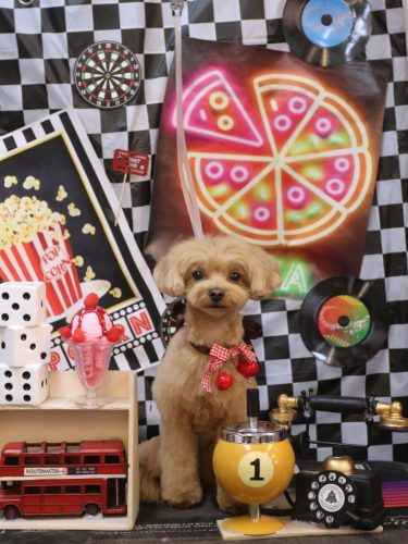 20260404らぶちゃん