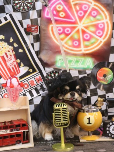 20260404ぷりんちゃん