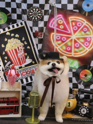 20260404モコくん