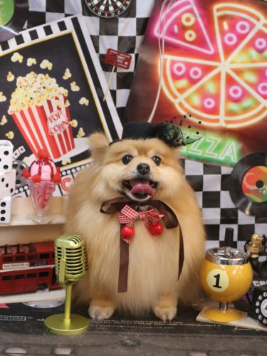 20260405梛都ちゃん