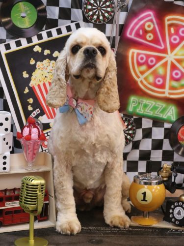 20260405りあんくん