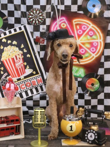 20260405ぶるくん