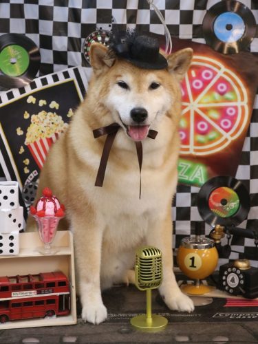 20260405こまくん