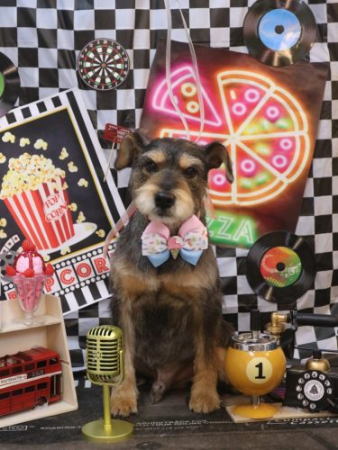 20260405ピンくん