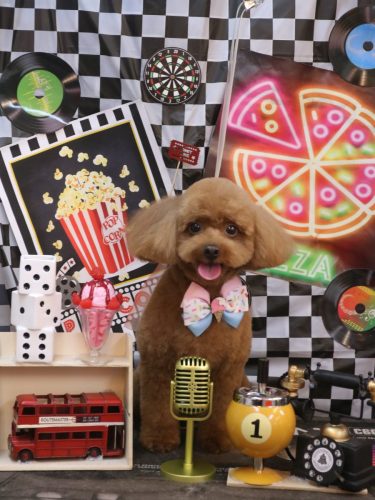 20260405ベルくん