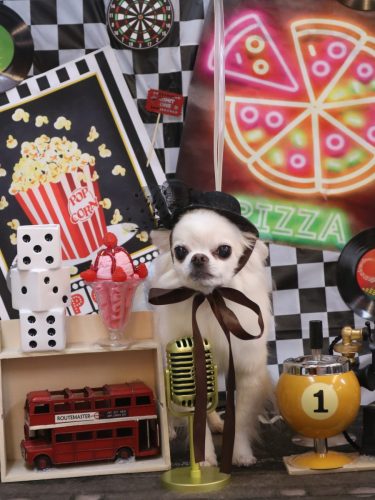 20260405りゅうくん