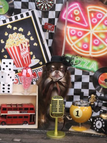 20260405チロルくん