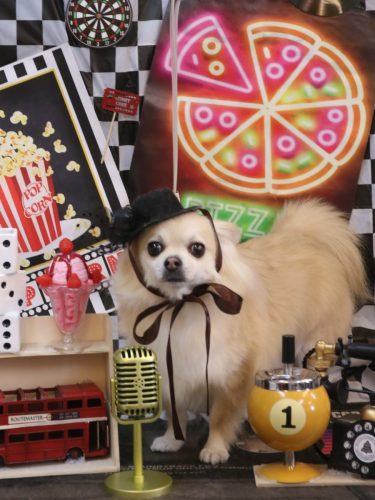 20260405とわくん