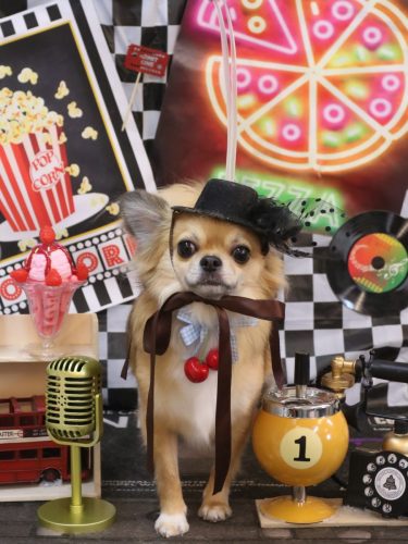 20260405れおくん