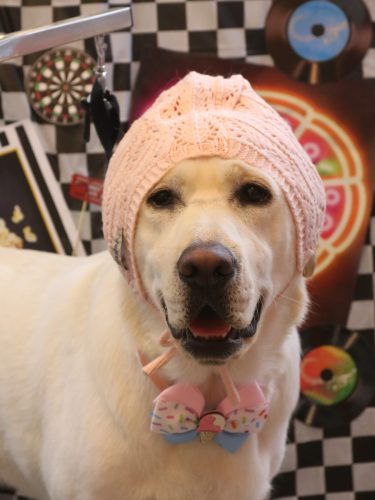 20260407糸ちゃん