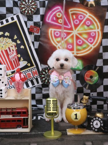 20260407ミルクくん