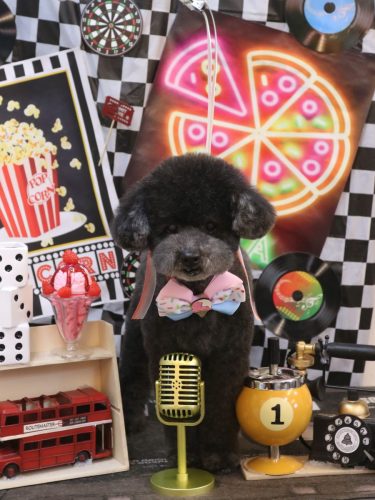 20260407コタロウくん