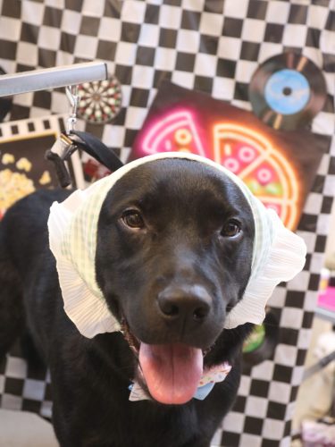 20260407文太くん