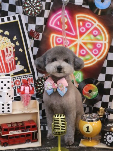 20260407日向くん