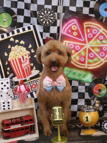 20260408ジョニーくん