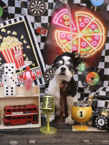 20260408ハートくん