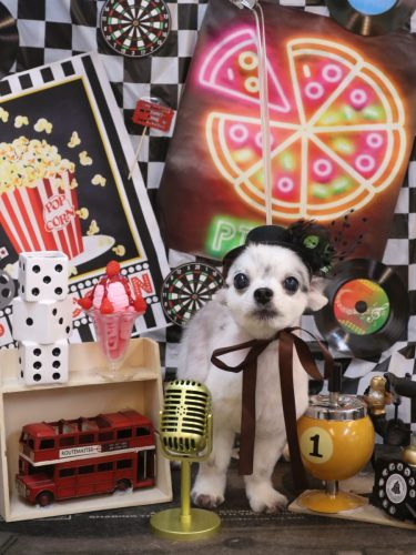 20260408メロディくん