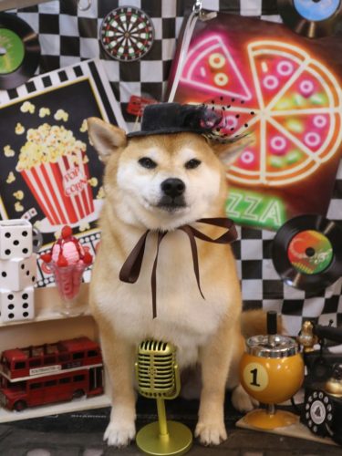 20260409はなちゃん