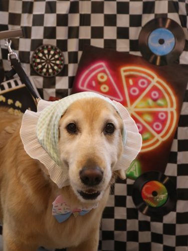 20260409アネラちゃん