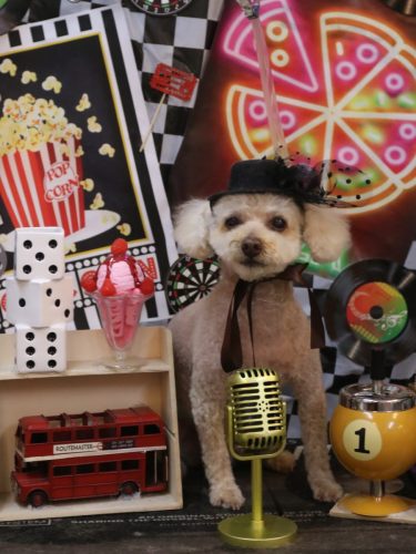 20260409もものすけくん