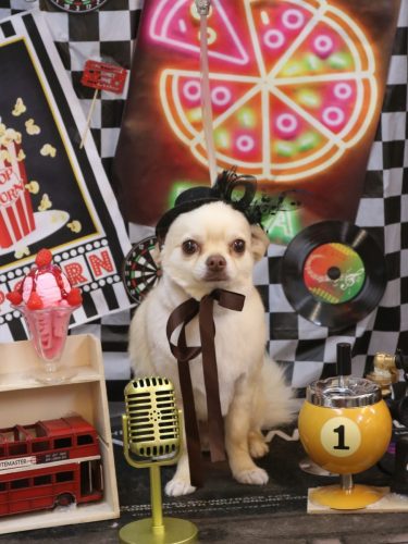 20260409ましゅくん