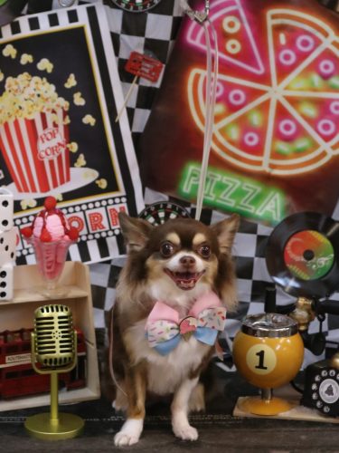 20260409ショコラちゃん