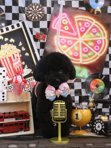 20260409レアちゃん