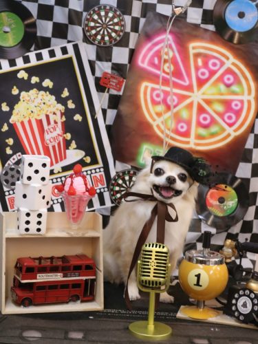 20260409ミルクちゃん