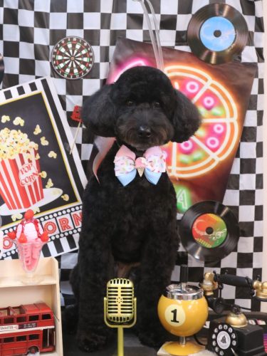 20260409アロちゃん